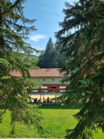 Imagen de la habitación del Z&ouml;ldsziget Mened&eacute;k, Rendezv&eacute;ny-&eacute;s pihenőh&aacute;z. Foto 16