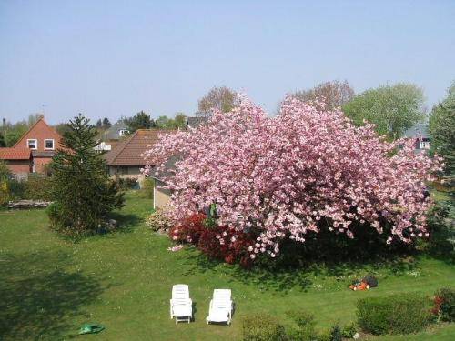 Imagen de la habitación del Zum Hanseaten. Foto 6