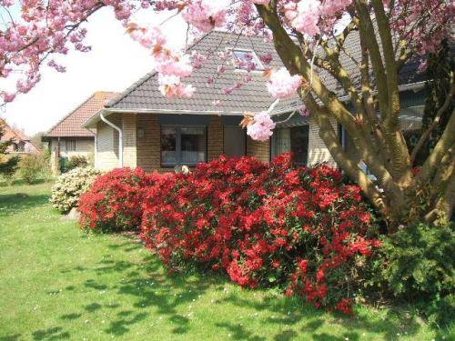 Imagen de la habitación del Zum Hanseaten. Foto 13