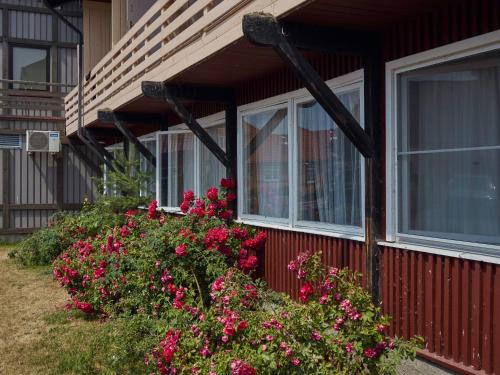 Imagen general del Zunda. Foto 5