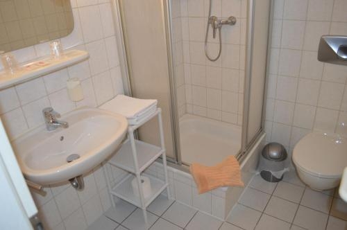 Imagen general del Zur Eiche, Meerane. Foto 6