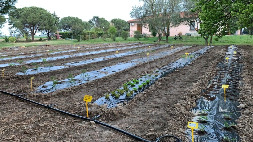 Imagen de los exteriores del agriturismo barattis. Foto 16