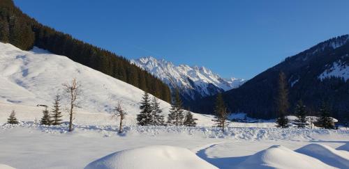 Imagen de la habitación del alpenrose hotel-garni. Foto 4