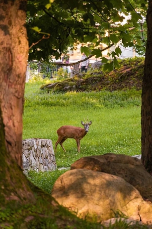 Imagen de los interiores del apartamenty silva & dworek myśliwski. Foto 3