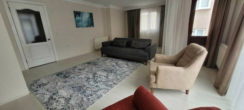 Imagen de la habitación del aronya istanbul. Foto 16