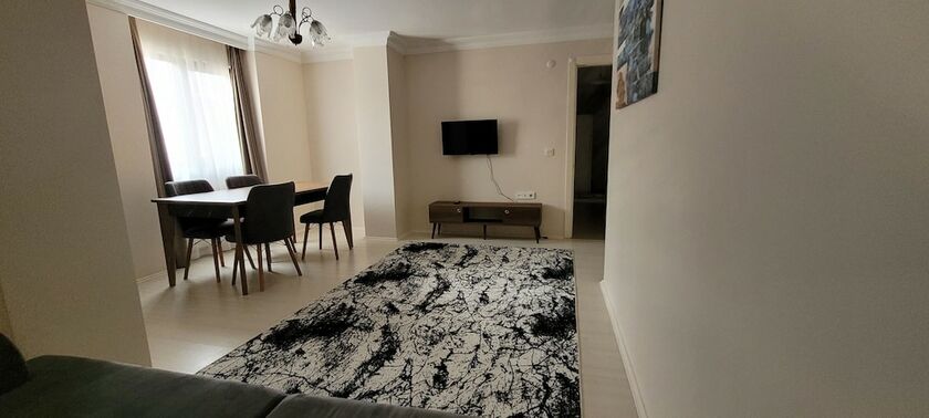 Imagen general del aronya istanbul. Foto 5