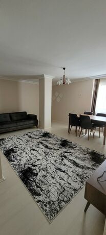 Imagen general del aronya istanbul. Foto 12