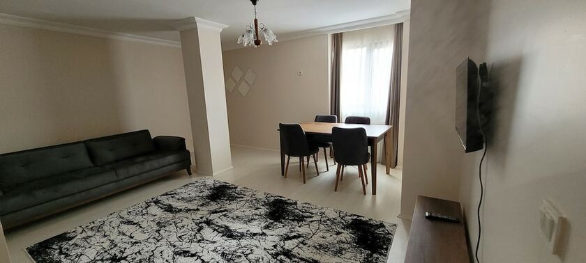 Imagen general del aronya istanbul. Foto 14
