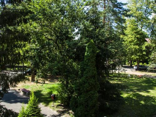 Imagen general del Żbik. Foto 12