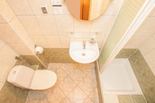 Imagen general del Żbik. Foto 15