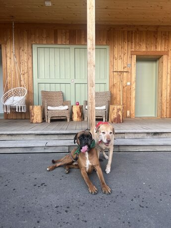 Imagen general del bike lodge Spessart. Foto 4