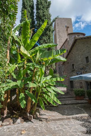Imagen de los interiores del borgo antico resort diffuso. Foto 11
