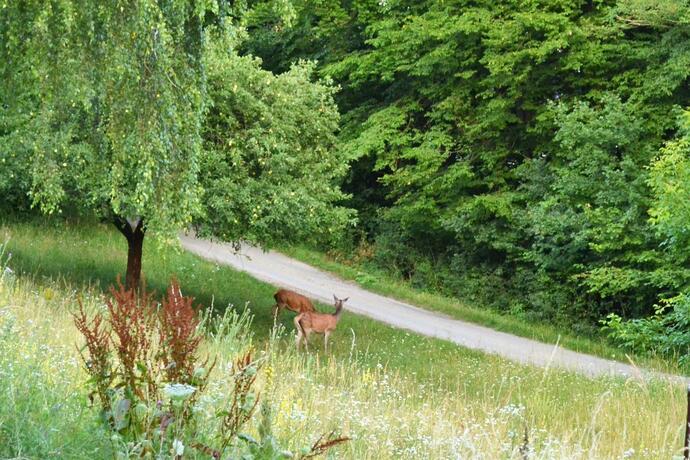 Imagen general del chata Trubárka. Foto 64