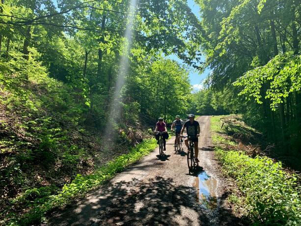 Imagen general del chata Trubárka. Foto 73