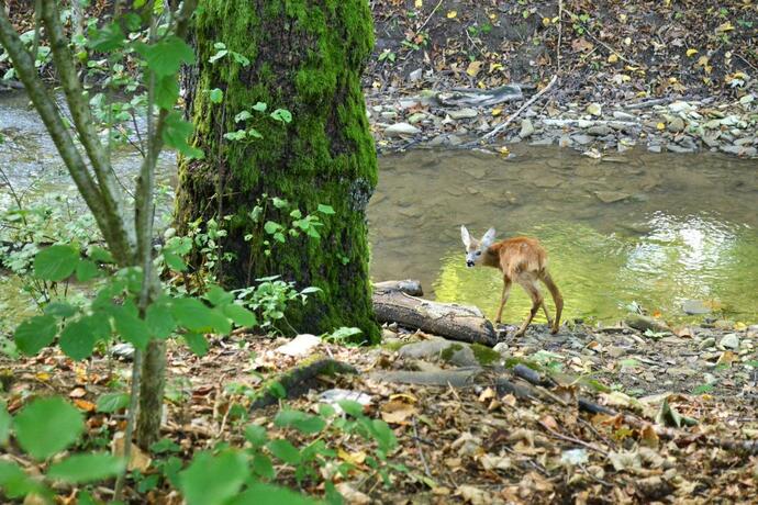 Imagen general del chata Trubárka. Foto 80