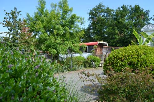 Imagen general del courfleurie reception. Foto 8