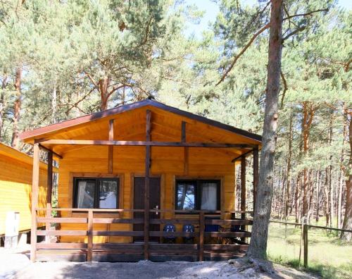 Imagen de la habitación del Łebski Kemping. Foto 15