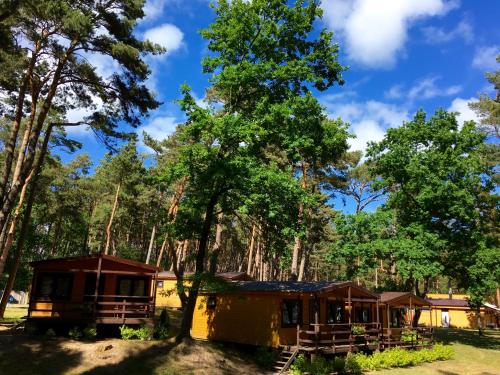 Imagen de la habitación del Łebski Kemping. Foto 16