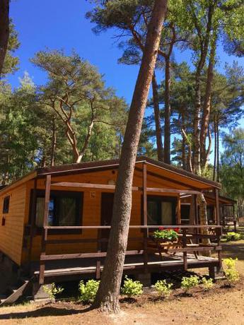 Imagen de la habitación del Łebski Kemping. Foto 18
