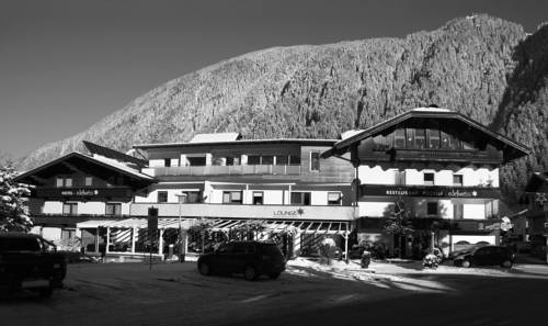Imagen general del edelweiss lounge restaurant hotel pizza cafe billard gasthof. Foto 1