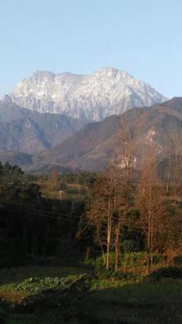 Imagen de la habitación del e&lsquo;meishan jintong inn. Foto 6