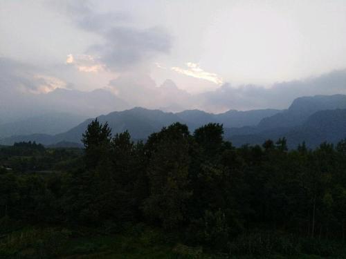 Imagen de la habitación del e&lsquo;meishan jintong inn. Foto 8