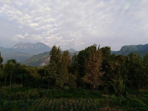 Imagen de la habitación del e&lsquo;meishan jintong inn. Foto 9