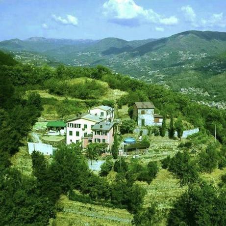 Imagen general del @gatetothewild. Foto 6
