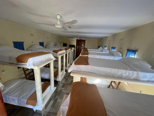 Imagen general del hostal nojoch-che. Foto 18