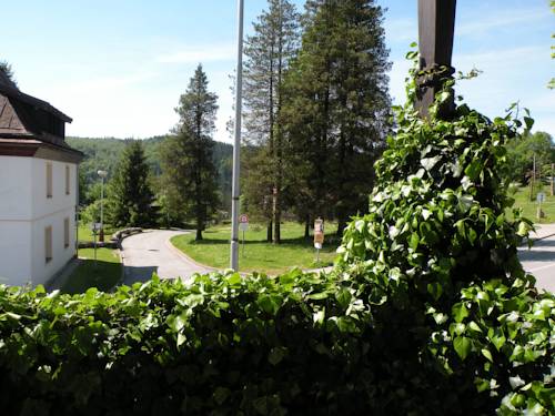 Imagen de la habitación del hotel lesní dům. Foto 15