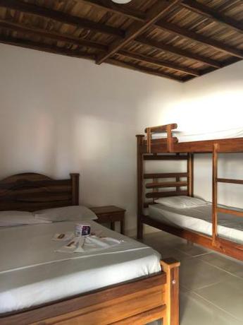 Imagen general del hotel tropical. Foto 1