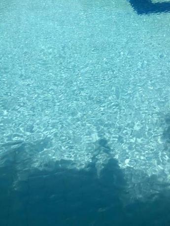 Imagen general del hotel tropical. Foto 7