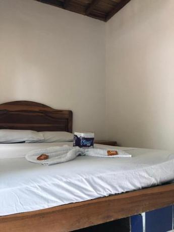 Imagen general del hotel tropical. Foto 14