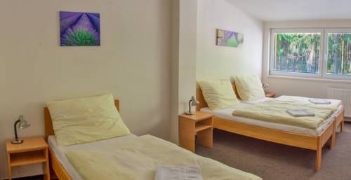 Imagen de la habitación del hotel&wellness knižec&iacute; rybn&iacute;k. Foto 15