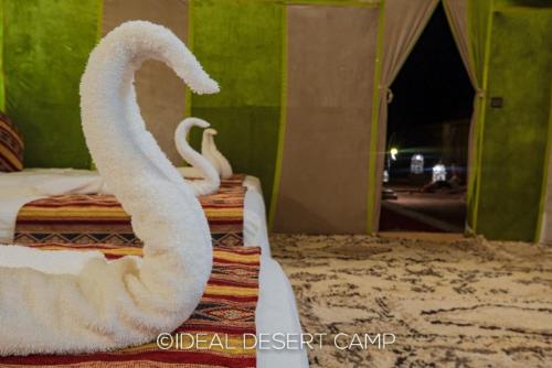 Imagen general del ideal desert camp. Foto 8