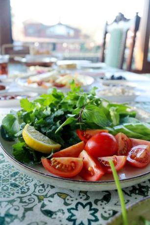 Imagen general del karamazov pansiyon. Foto 12