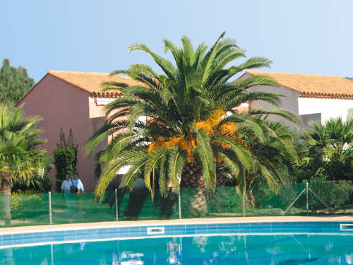 Imagen de la habitación del lagrange vacances le domaine d'azur et tahiti park. Foto 3