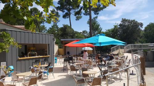 Imagen general del les pins de la coubre. Foto 6