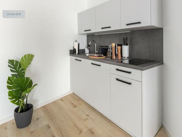 Imagen general del limehome Osnabrück Johannisstraße. Foto 1