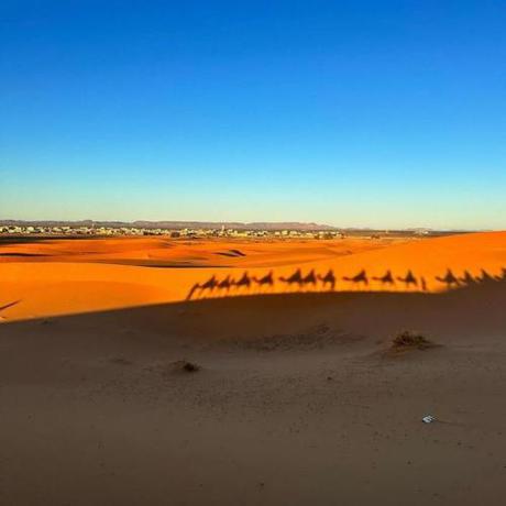 Imagen general del marvelous luxury desert stars. Foto 15