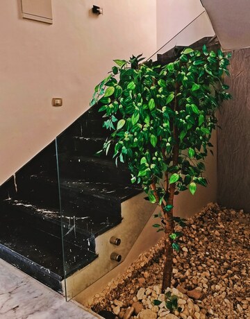 Imagen general del my villa. Foto 9