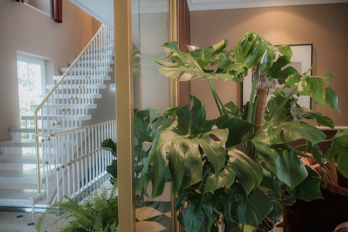 Imagen de los interiores del nook x Seepalais. Foto 17