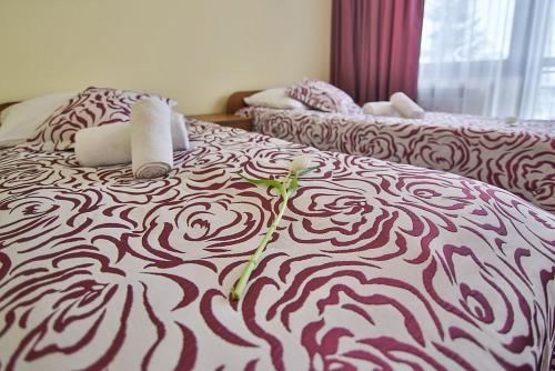Imagen de la habitación del ośrodek wypoczynku dziubas jan. Foto 4