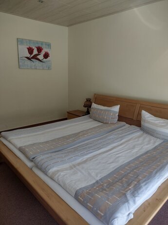 Imagen general del pension walddorf. Foto 8