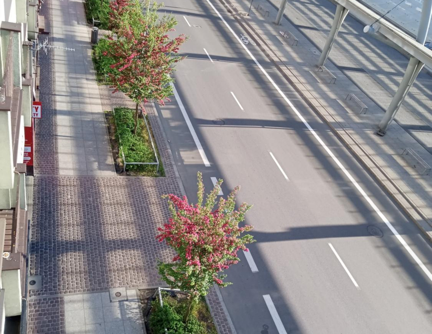 Imagen general del pokoje gościnne częstochowa. Foto 5