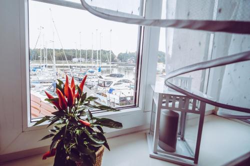 Imagen de los interiores del przystań łeba resort&restaurant. Foto 11