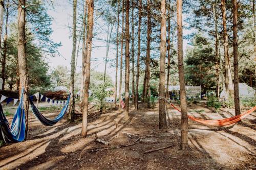 Imagen general del raus und gut Glamping am Gr&auml;bendorfer See. Foto 4