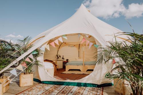 Imagen general del raus und gut Glamping am Gr&auml;bendorfer See. Foto 12
