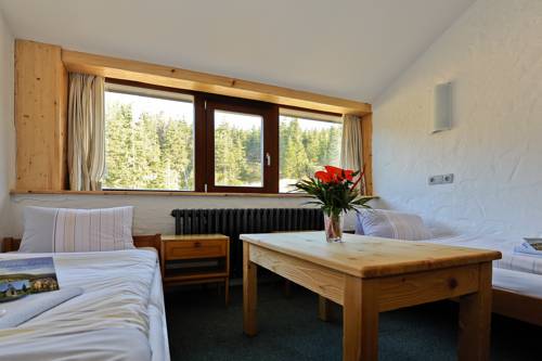 Imagen de la habitación del resort sv. franti&scaron;ek - hotel erlebachova bouda. Foto 4