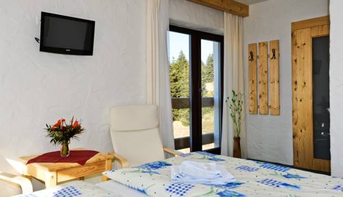 Imagen de la habitación del resort sv. franti&scaron;ek - hotel erlebachova bouda. Foto 14